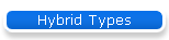 Hybrid Types
